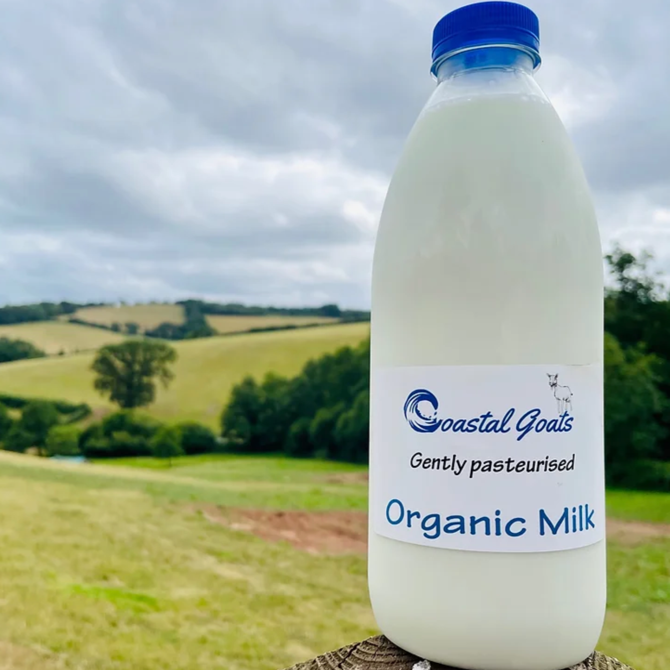 Gently Pasteurised Goats Milk 1 Litre