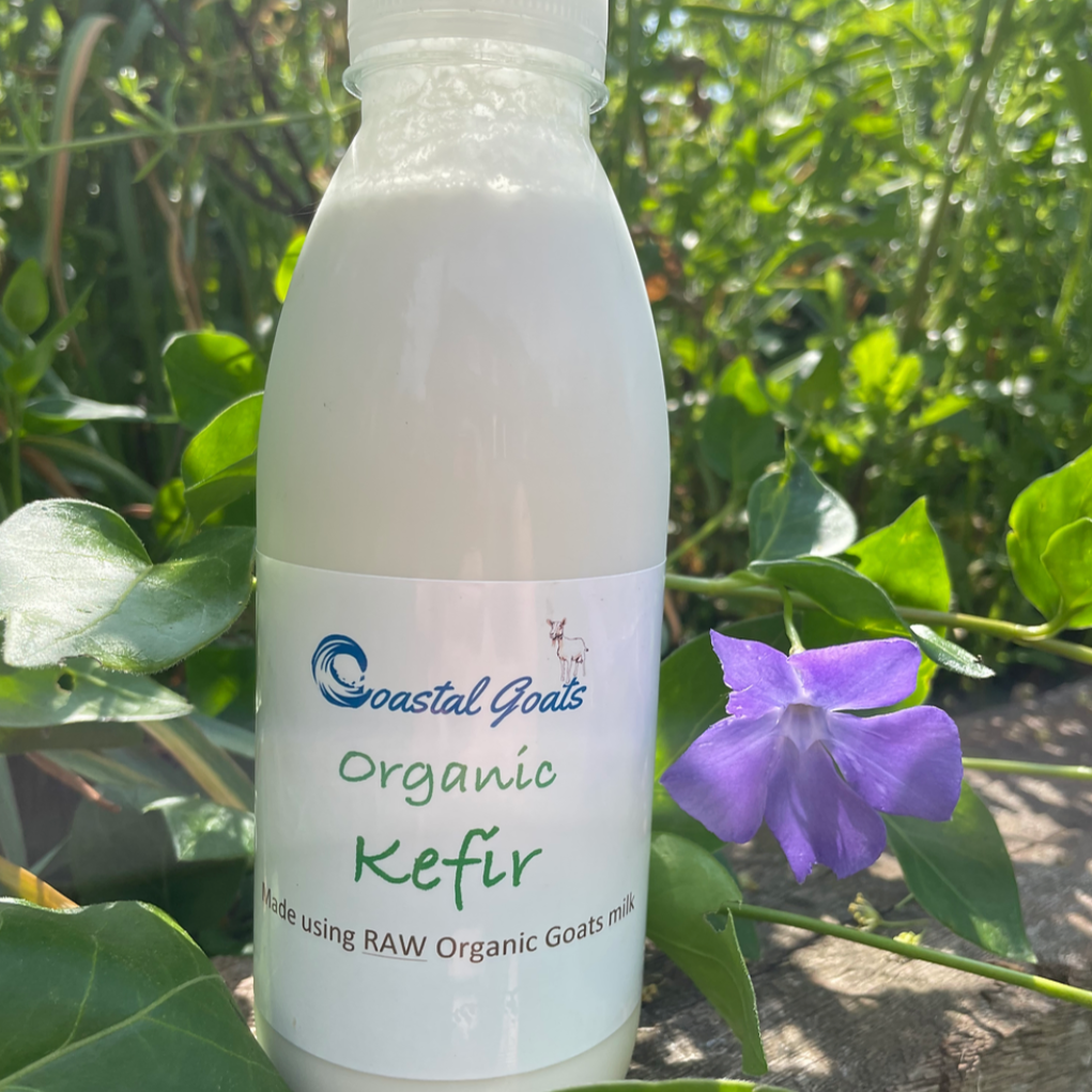 How to make Kefir from Raw Goats Milk