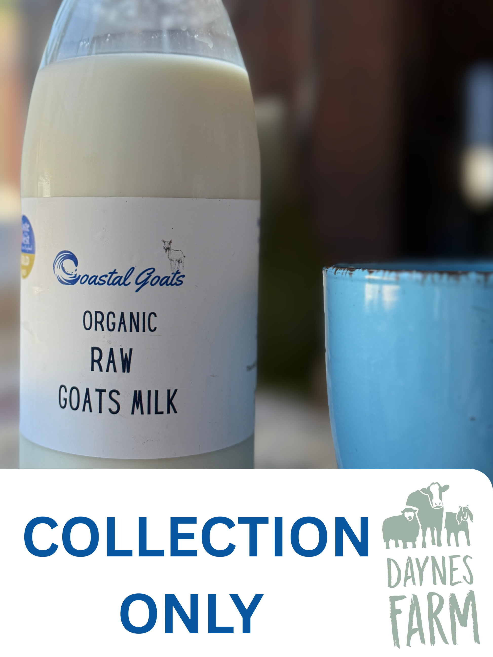 Raw Goats Milk- Daynes Farm COLLECTION ONLY