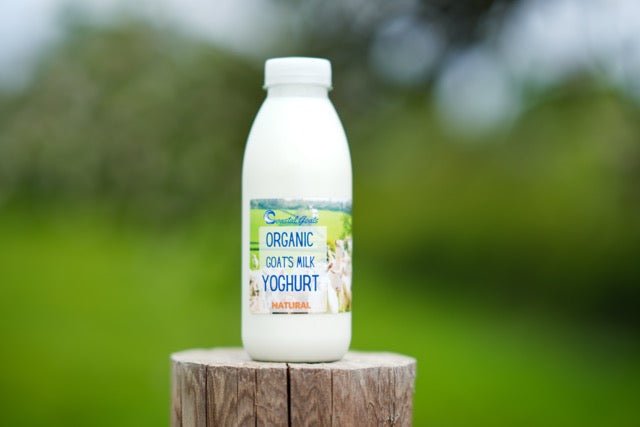 Bottle of Organic Goats Milk Yoghurt on a wooden block with a blurred green background