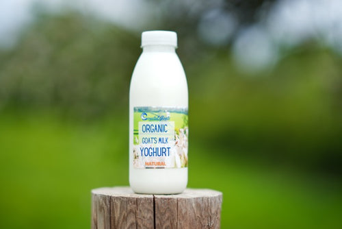 Bottle of Organic Goats Milk Yoghurt on a wooden block with a blurred green background